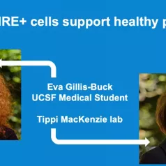 Gillis Buck Presentation Twitter Gillis Buck Presentation Twitter